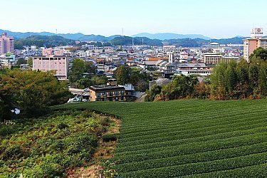 japanese tourist city on kyushu crossword